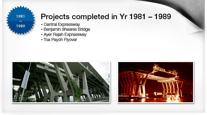 Project in Year 1981 to 1989
